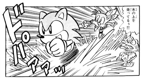 Sonic The Hedgeblog — A panel from the Sonic The Hedgehog 1991 manga.