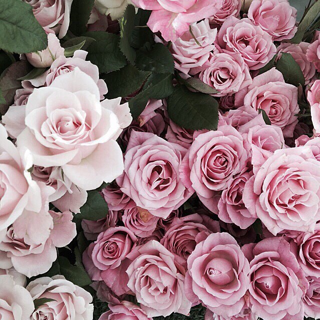 floralls:    by  sincerelyjules   