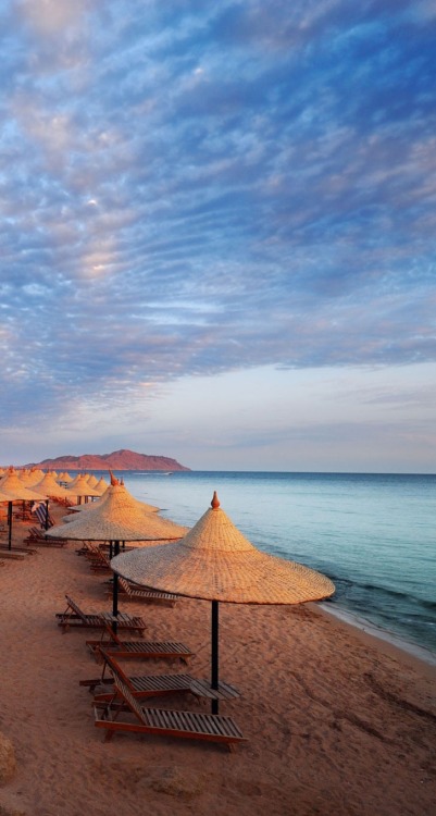 Sharm El Sheikh Beach, on the Red Sea, Egypt