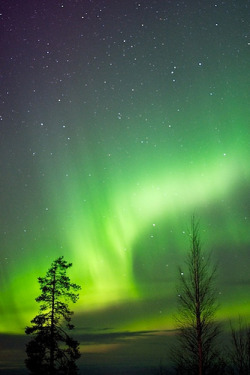 mistymorningme:Rovaniemi - Aurora Borealis by Tarja Ryhannen Mitrovic 