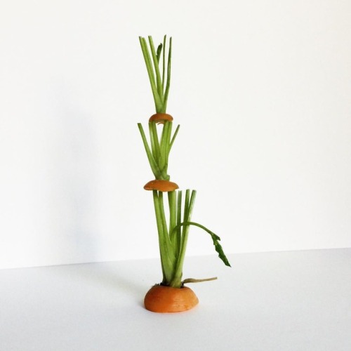 270 / 365 . carrot tops . 27september2017 #sculpture #foundobjects #balance #prop #stack #carrot #to