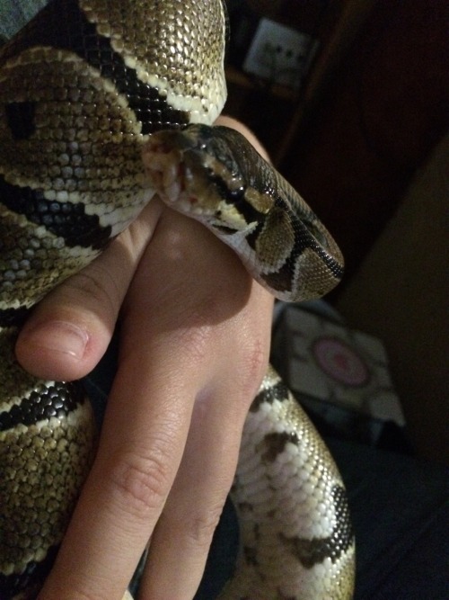 wheremyscalesslither:Jackie says hi!–HI JACKIE YOU SWEETHEART!!