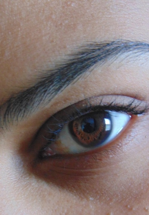 just&ndash;beth: “Rare as the feathers on my dash from a phoenix.”- Seigfried by Fra