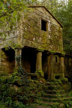 an0therwildfl0wer:  Abandoned beauty~