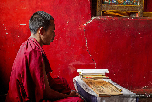 artofprayer-blog:Young monk praying in Thiksey Gompa near Leh, Ladakh