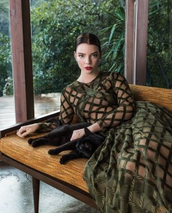 Anyataylorjoydaily:  Anya Taylor-Joy By Emily Berl For The Hollywood Reporter March