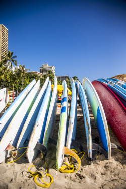 pricelessgallery:  1:30 pm - Head over to Waikiki Beach for a board lesson at the birthplace of surfing. Look for Star Beachboys in front of the Duke Kahanamoku statue. From Zak Noyle’s #OneMoreDay adventure in Hawaii.