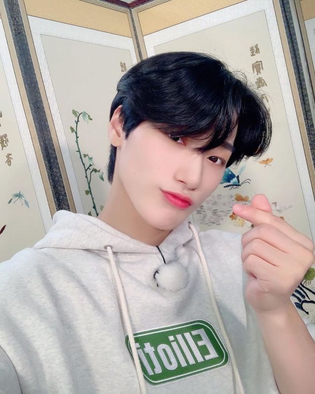 IMG