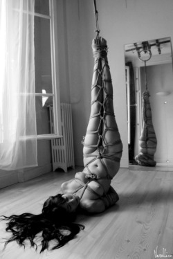 southernsir:  Shibari Saturday