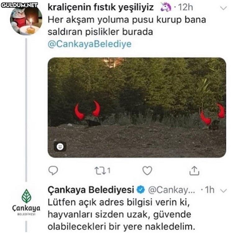 Belediye gibi belediye...