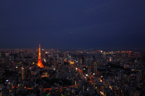Tokyo City View 07 by Hideya HAMANOVia Flickr:R0004218