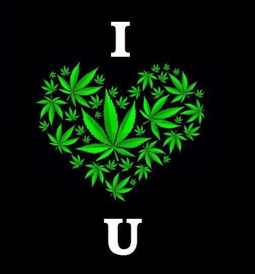 tryweed:  btw.. just ask. ask.fm/alexdafuq