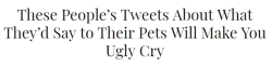 recommend:These People’s Tweets About What They’d Say to Their Pets Will Make You Ugly Cry (x)
