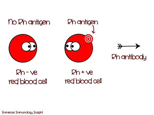 immense-immunology-insight:The Rh incompatibility comic is here! Think of Rh-positive antigen as a