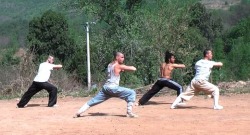 rootsofcombat2:  Kung Fu