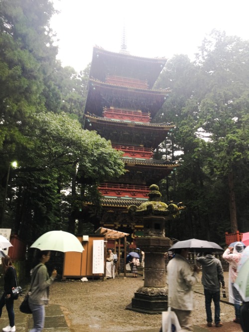 Day trip to Nikko! If you ever go to Toshogu Shrine, be sure to stop by their cafe! Great coffee! Al