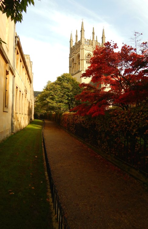 fuckitandmovetobritain:Oxford [3]