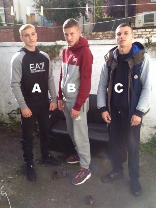 jayboy121:markovsstuff: fella423: bandhsmoker: gearguyuk: scallychavlads: Which one would you like t