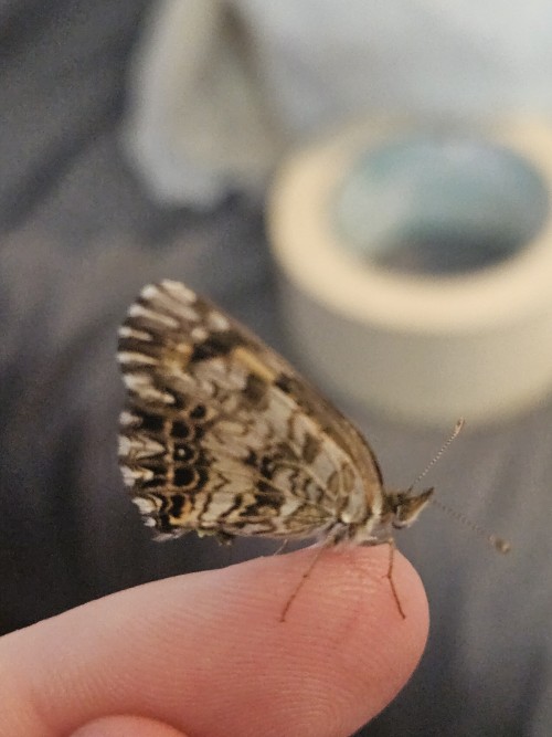 I Made A Friend :D