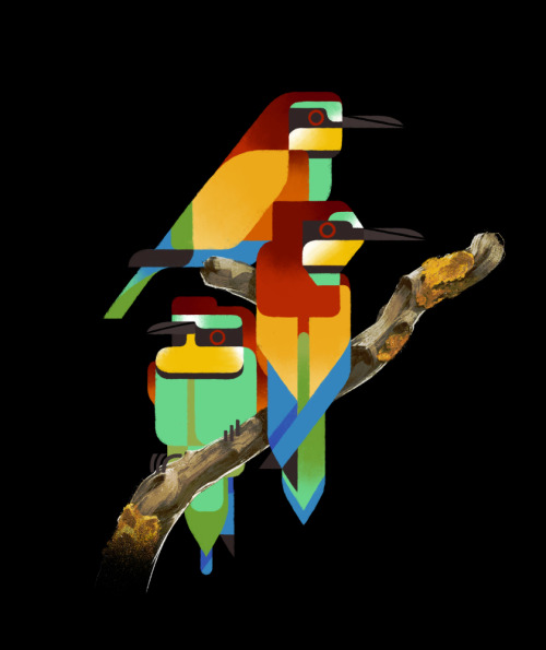 European bee-eaters