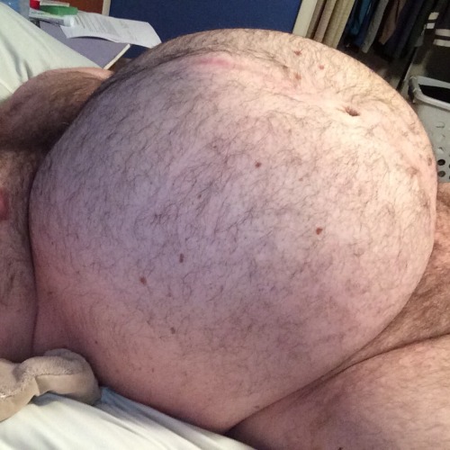 gainerbull:  Feed me bigger!
