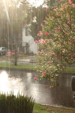 Porn photo etherealclit:sun showers are so pretty!