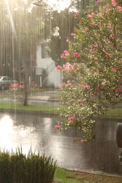 XXX etherealclit:sun showers are so pretty! photo