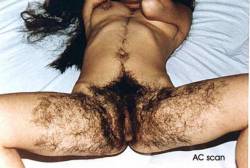 jamaica1-love:Wow I would love to have sex with her.  So really nice and hairy.  This is my fantasy come true.