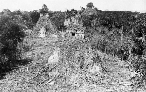 Tikal (Guatemala, 1882), taken by Alfred P. Maudslay after thevegetation was cleared.