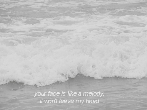 s0lvingsecrets:  ۵Following back similar۵
