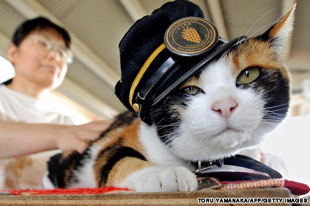 cute-overload:  The cat that saved a Japanese train stationhttp://cute-overload.tumblr.com
