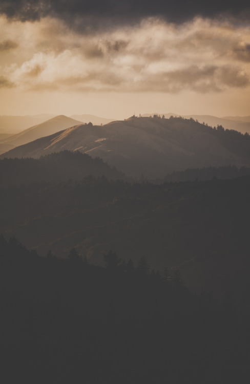 h a z e ・↟↟ | marin county, californiaLorenzo Montezemolo [ instagram | tumblr | flickr | web ]