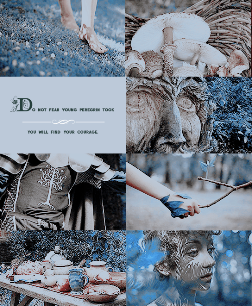 leroichevalier: → Fellowship of the ring: The hobbits. Frodo Baggins Samwise Gamgee Meriadoc Br