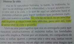 vive, y deja vivir✌🏾️