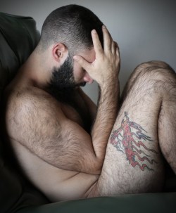 accidentalbear:  (via Naked Hairy Hunk May