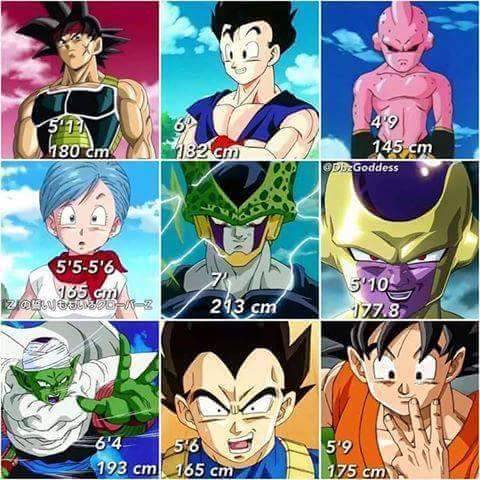 meetmehalfwayvegebul: VEGETA’S FACEFrom Prince Vegeta’s Universe at facebook.com Vegeta’s tall