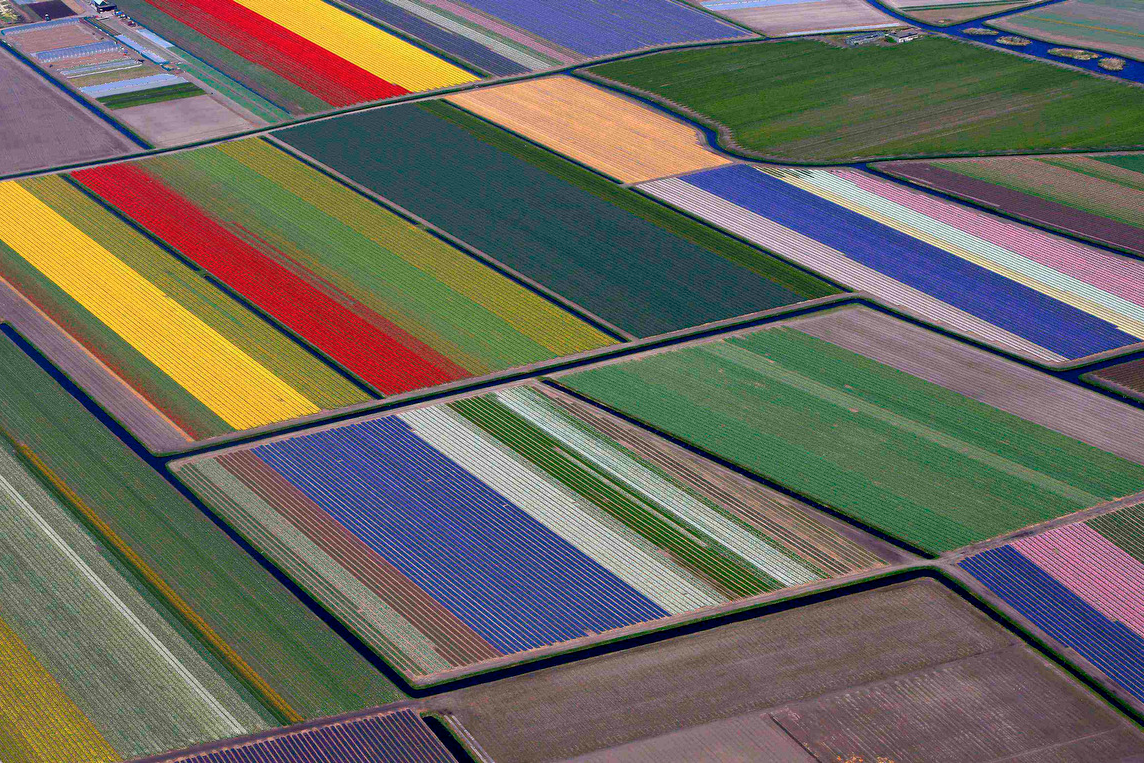 nubbsgalore:the flowers of holland’s keukenhof gardens near lisse in spring bloom. photos