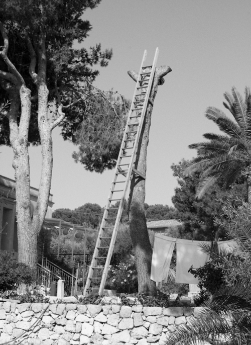 thephotoregistry:Massimo Leardini