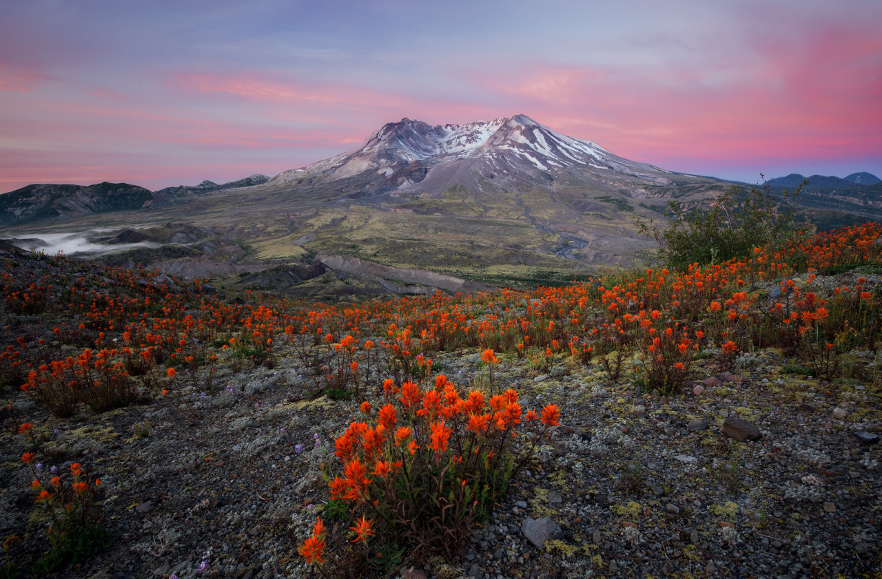ponderation:  Bee’s Eye View by Nathaniel Merz
