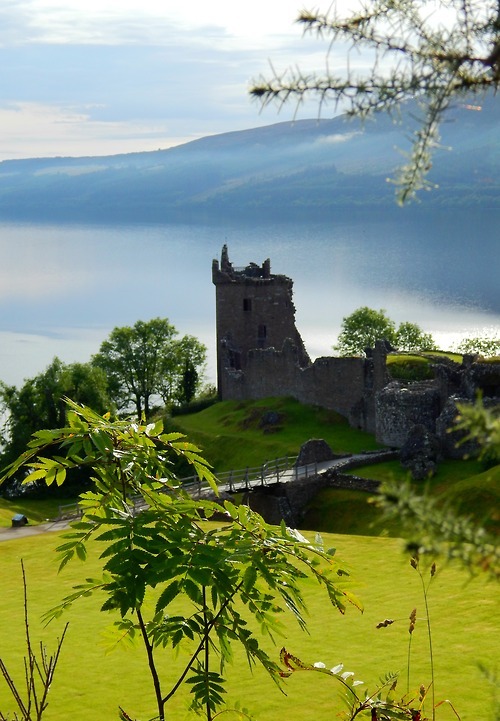 fuckitandmovetobritain:  Scotland [5]: Scottish Highlands - -  Eilean Donan Castle,