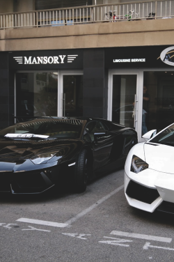 drugera:  Aventador’s