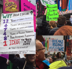 arklightspark: mysharona1987: Some of the best signs from the science day march. 