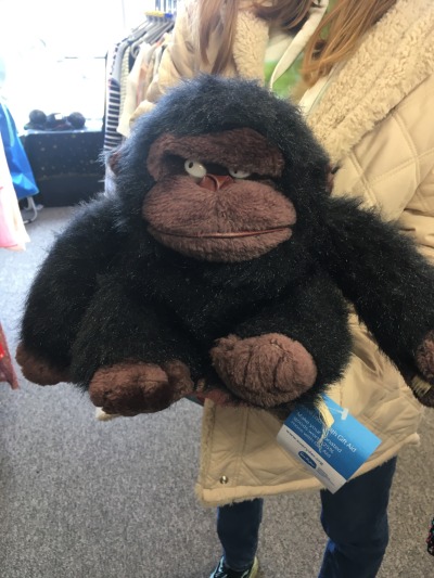 shiftythrifting:Side eye gorilla is judging you.