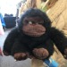 shiftythrifting:Side eye gorilla is judging you.