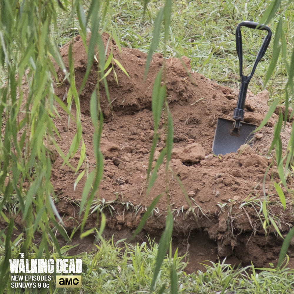 AMC's THE WALKING DEAD