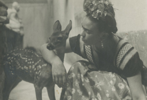 aleabandonado: Frida Khalo with a fawn. Nickolas Muray (1939)
