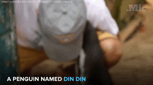 thefingerfuckingfemalefury:  ayellowbirds:  fat-birds:  micdotcom:  the-future-now: