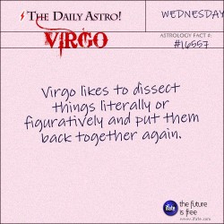 dailyastro:  Virgo 16557: Visit The Daily
