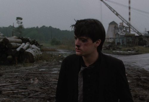 amourduloup:Twin Peaks, Pilot (1990) &amp; Blue Velvet (1986), dir. David Lynch