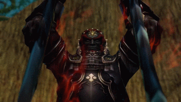 heroicallyawkward:  Hyrule Warriors (Twilight Princess) 